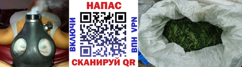 сколько стоит  Мышкин  Конопля Amnesia 